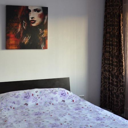 Bragadiru Vila Cu Trandafiri Cozy Apartments 2 Camere מראה חיצוני תמונה