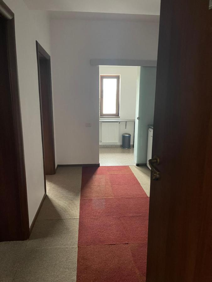 Bragadiru Vila Cu Trandafiri Cozy Apartments 2 Camere מראה חיצוני תמונה