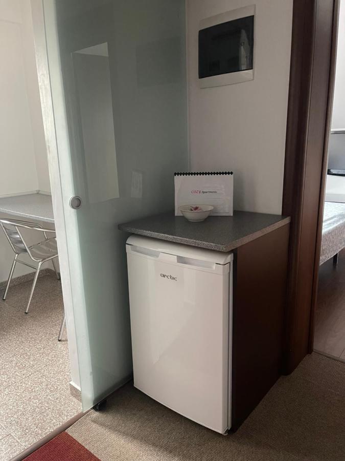 Bragadiru Vila Cu Trandafiri Cozy Apartments 2 Camere מראה חיצוני תמונה