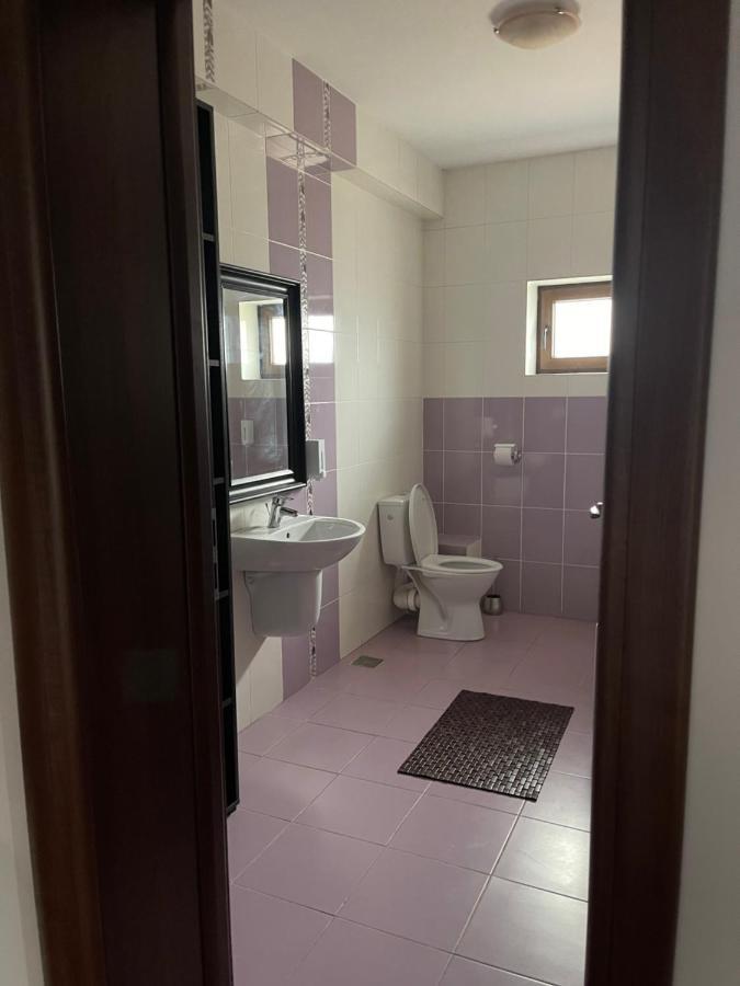 Bragadiru Vila Cu Trandafiri Cozy Apartments 2 Camere מראה חיצוני תמונה